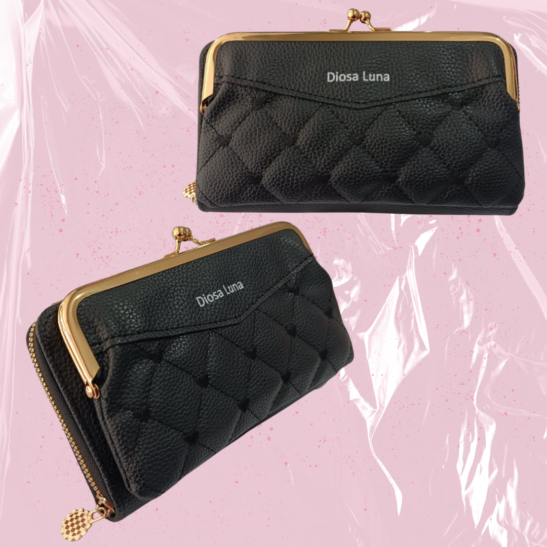 CARTERA DAMA